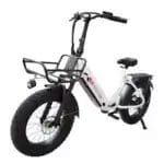 Flybrother E-Bike 750W 48V 20Ah lithium Battery